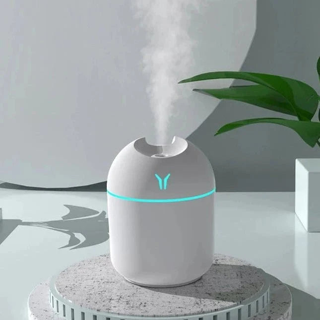Aromatherapy Mini Humidifier
