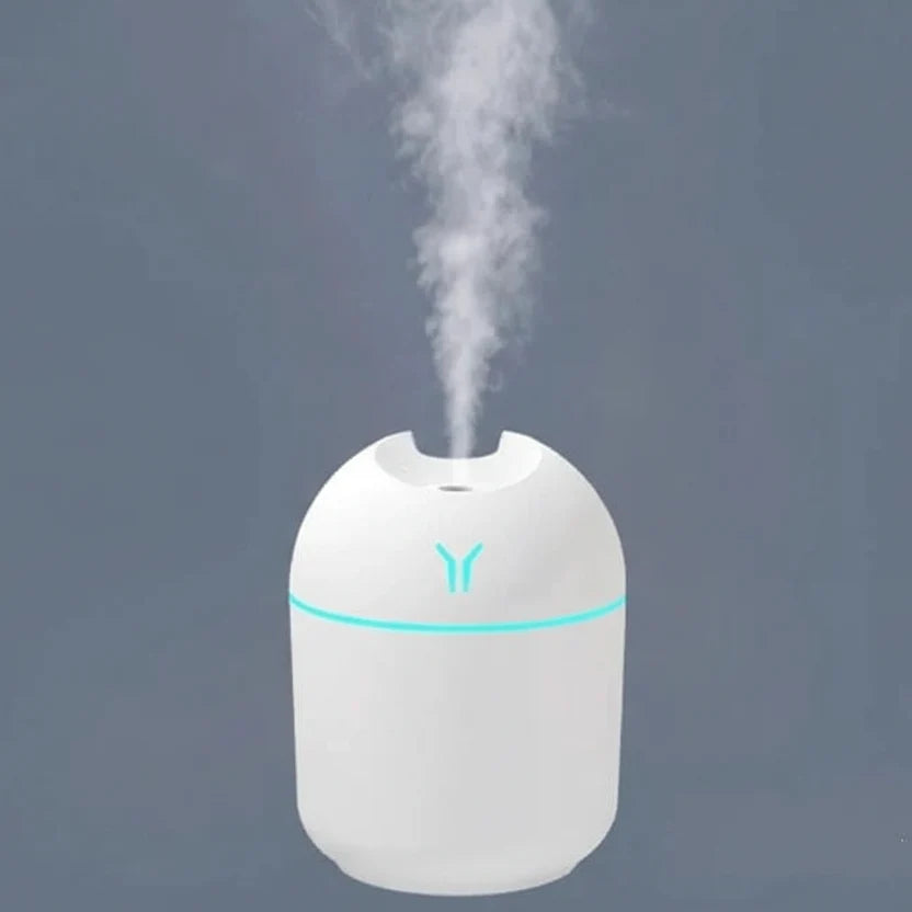 Aromatherapy Mini Humidifier