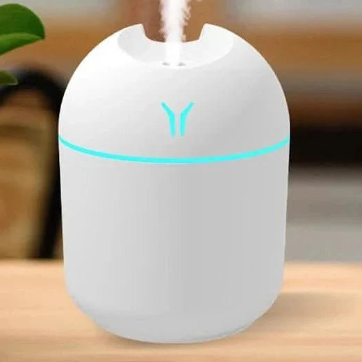 Aromatherapy Mini Humidifier