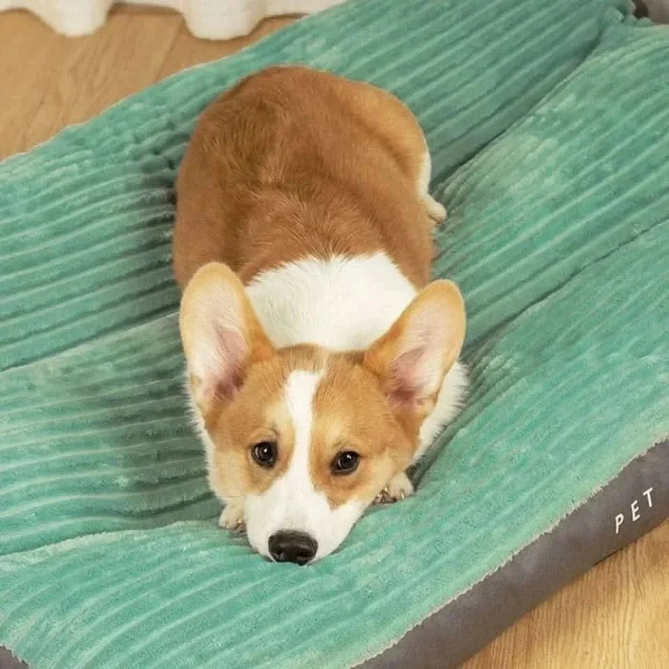 Padded Plush Dog Bed