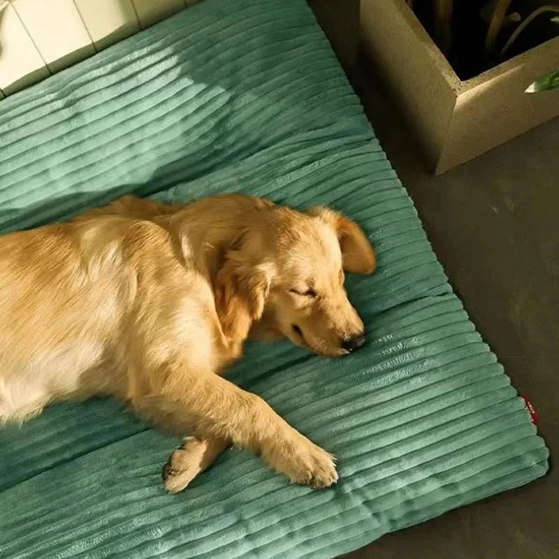 Padded Plush Dog Bed