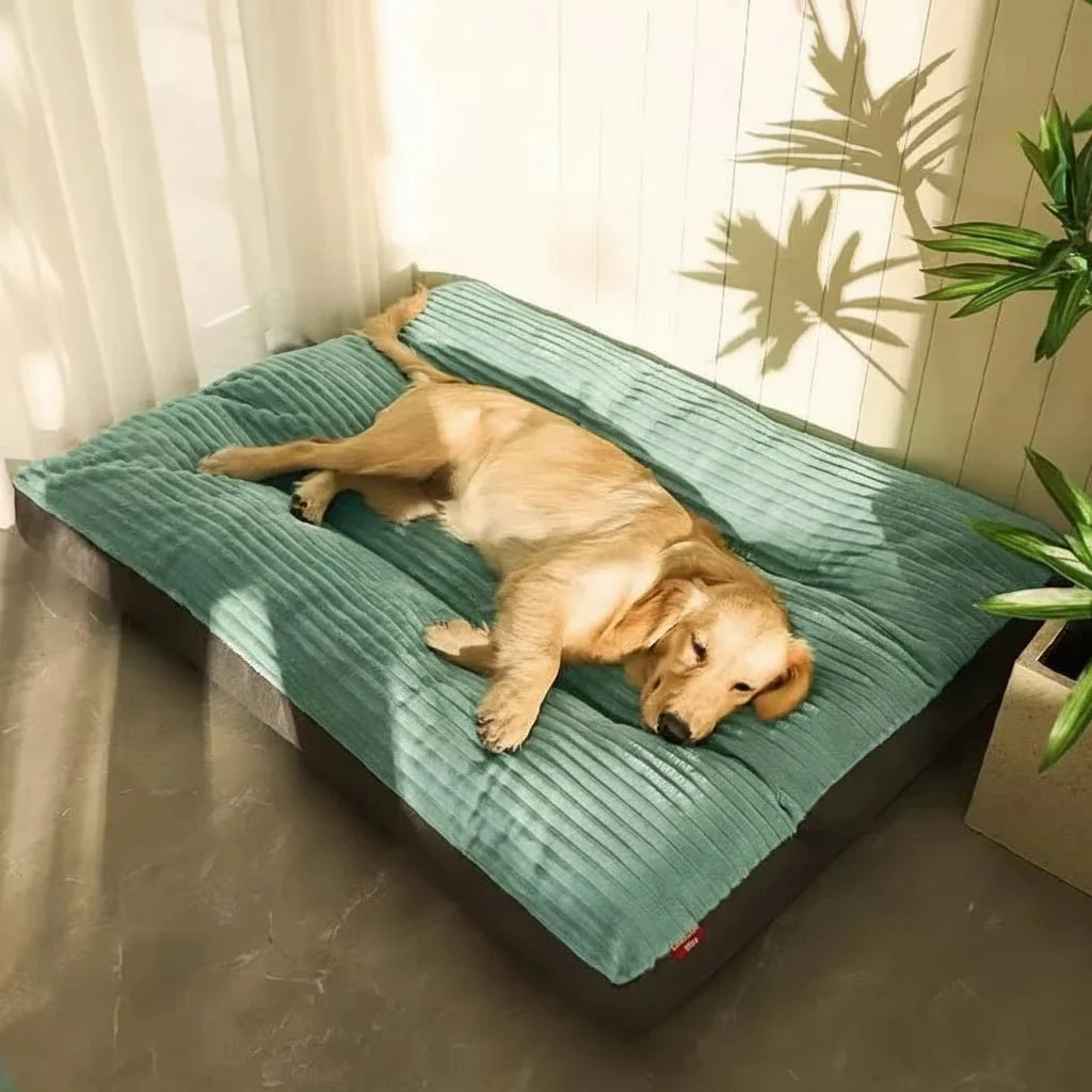 Padded Plush Dog Bed