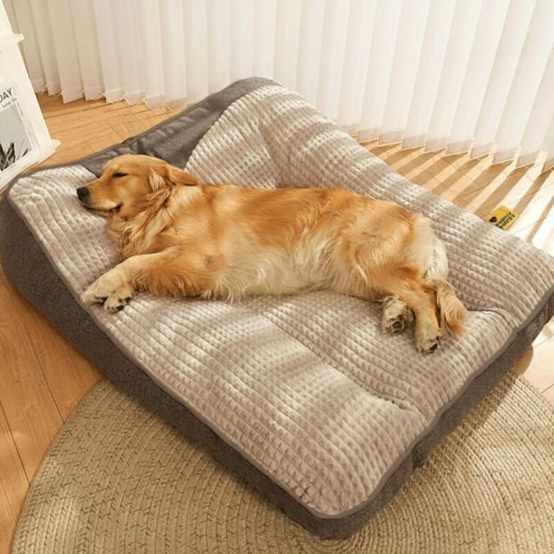 Raised Headrest Dog Bed