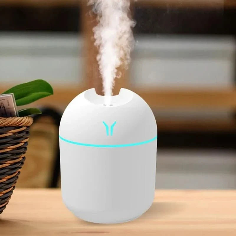 Aromatherapy Mini Humidifier