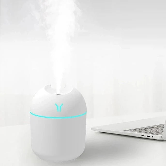 Aromatherapy Mini Humidifier