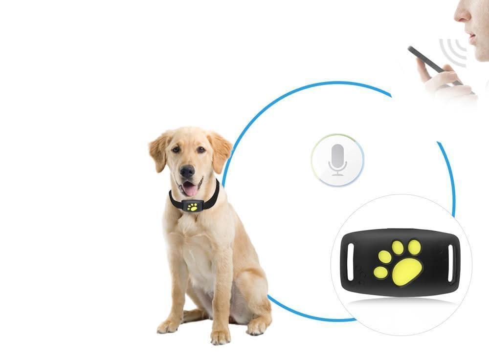Cat GPS Tracker