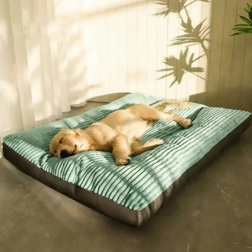 Padded Plush Dog Bed